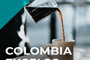 Смакові якості зерен кави Colombia Excelso