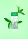 Чай зелений пакетований C&T Зелена м'ята (20шт*2г)